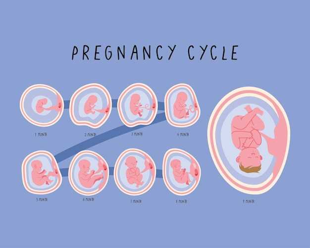 Симптомы развития эмбриона